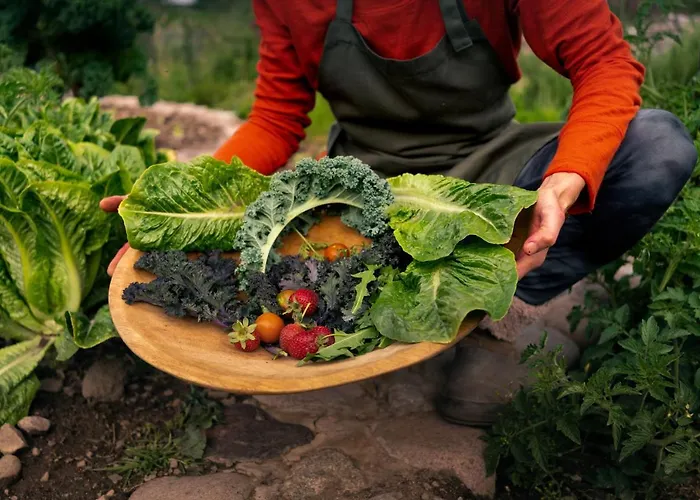 Kinsapacha Eco Lodge Farm Urubamba